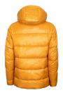 Куртка VIVACANA 63AW5730M/YELLOW/453